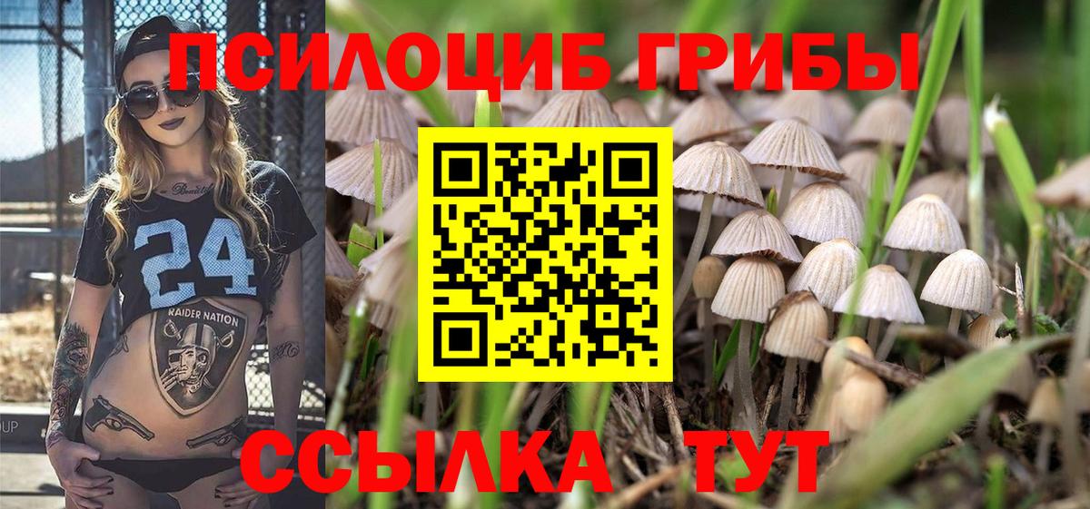 Галлюциногенные грибы Cubensis Ульяновск