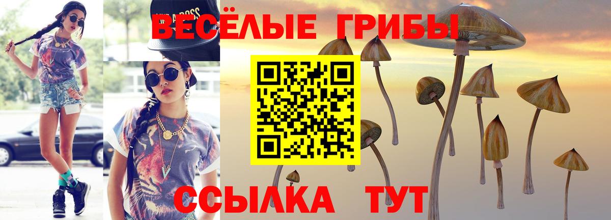 Псилоцибиновые грибы ЛСД  Вход с VPN  Ульяновск  Галлюциногенные грибы Magic Shrooms 